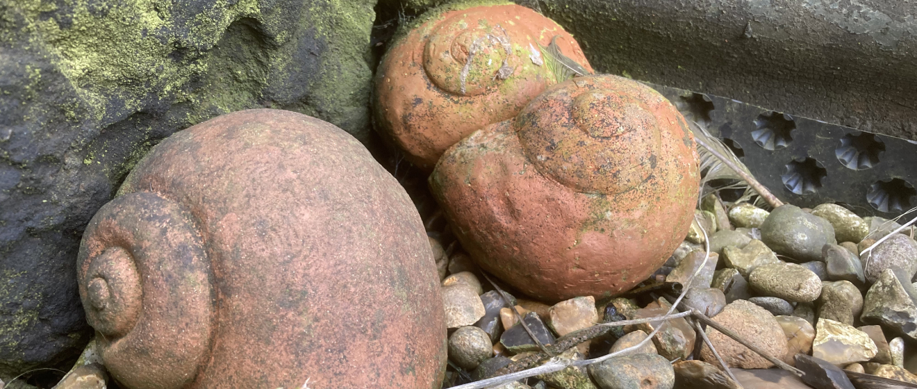 Snail pottery